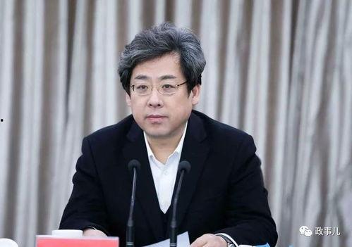 市长的明星,揭秘明星市长的非凡魅力与执政智慧”