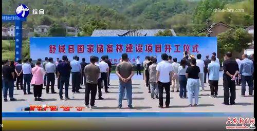 舒城县城关乡新闻头条,打造乡村振兴新样板