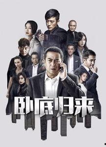 卧底归来全集在线观看,揭秘卧底生涯，揭秘黑帮风云