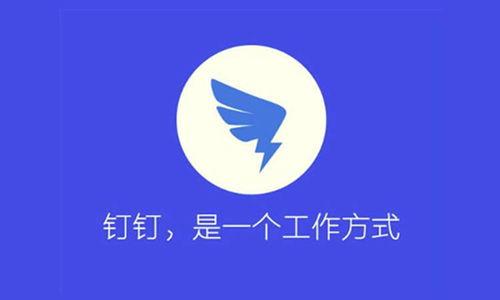 网红钉钉图,数字化办公新潮流