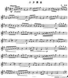 旋律动感网红舞曲歌词,网红舞曲，燃爆你的舞池！