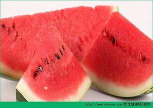 吃瓜视频海鲜,吃瓜视频带你领略海洋美味