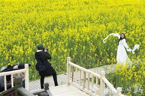 武汉头条消泗乡,武汉近郊的生态绿洲，探寻自然与人文的交融之美