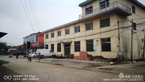 肥乡东马固镇新闻头条,聚焦乡村振兴，共绘美好蓝图