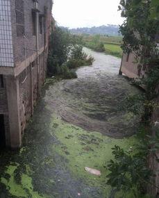 岳池裕民镇头条