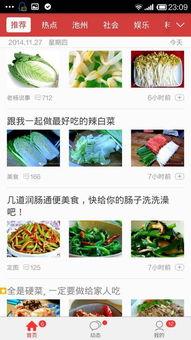 今日头条大蒜收入,揭秘农业新宠背后的经济奇迹