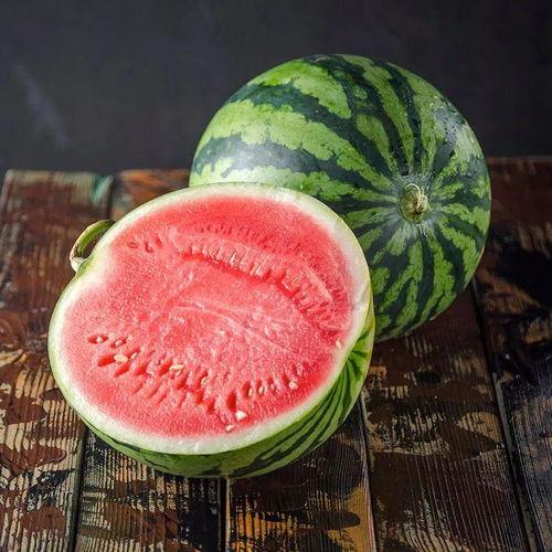 苏锦瑟随机吃瓜