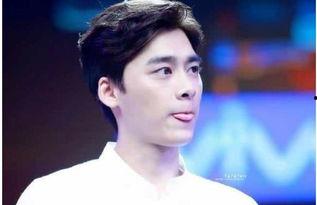 明星本职,揭秘演艺圈背后的真实职业生活