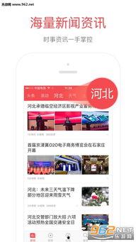 头条河北网红排名,盘点热门网红，揭秘网络影响力