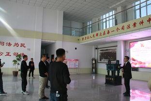 沾化依安县新闻头条,聚焦发展新动态，共绘美好未来画卷