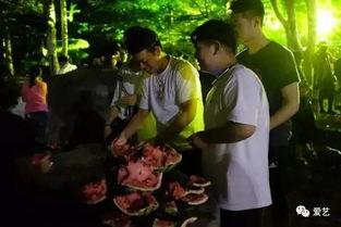 辽宁学校吃瓜事件,校园食品安全问题引发关注