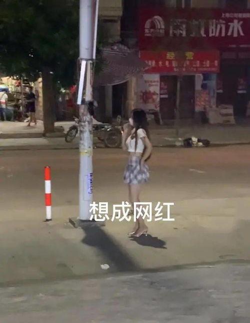 网红小男孩跳舞视频