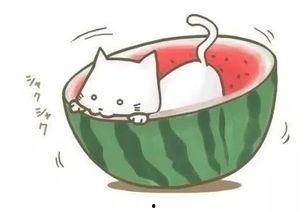 看球吃瓜文案短句,一场看球吃瓜的盛宴