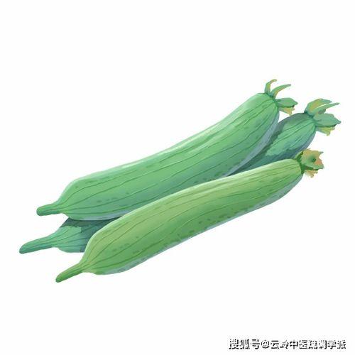 吃瓜浑身起疙瘩,揭秘浑身起疙瘩的神秘现象