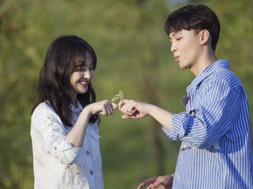 娱乐圈的吃瓜小编有哪些