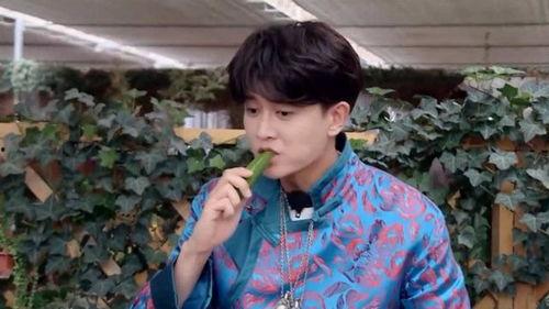 娱乐圈吃瓜刘宇宁,娱乐圈吃瓜达人，揭秘明星幕后故事