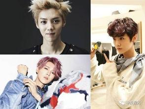 娱乐圈吃瓜主播鹿晗长视频,娱乐圈幕后故事大公开