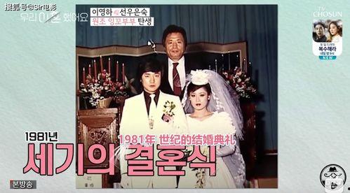 娱乐圈吃瓜脱口秀小说,揭秘明星背后的那些事儿