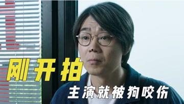 娱乐吃瓜君张口就来