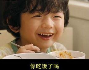 穿书娱乐圈吃瓜嗑糖