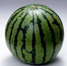 吃瓜群是什么群